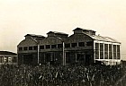 Fonderia Fratelli Arici - Anno 1955 Circa 01 - Grazie a Manuela Arici.jpg