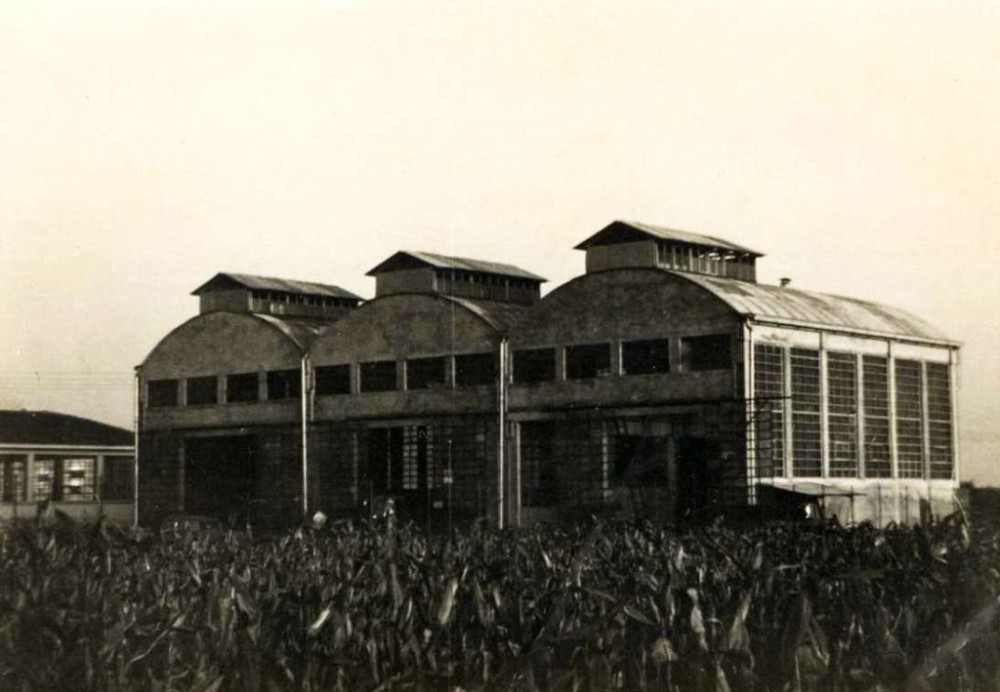 Fonderia Fratelli Arici - Anno 1955 Circa 01 - Grazie a Manuela Arici.jpg